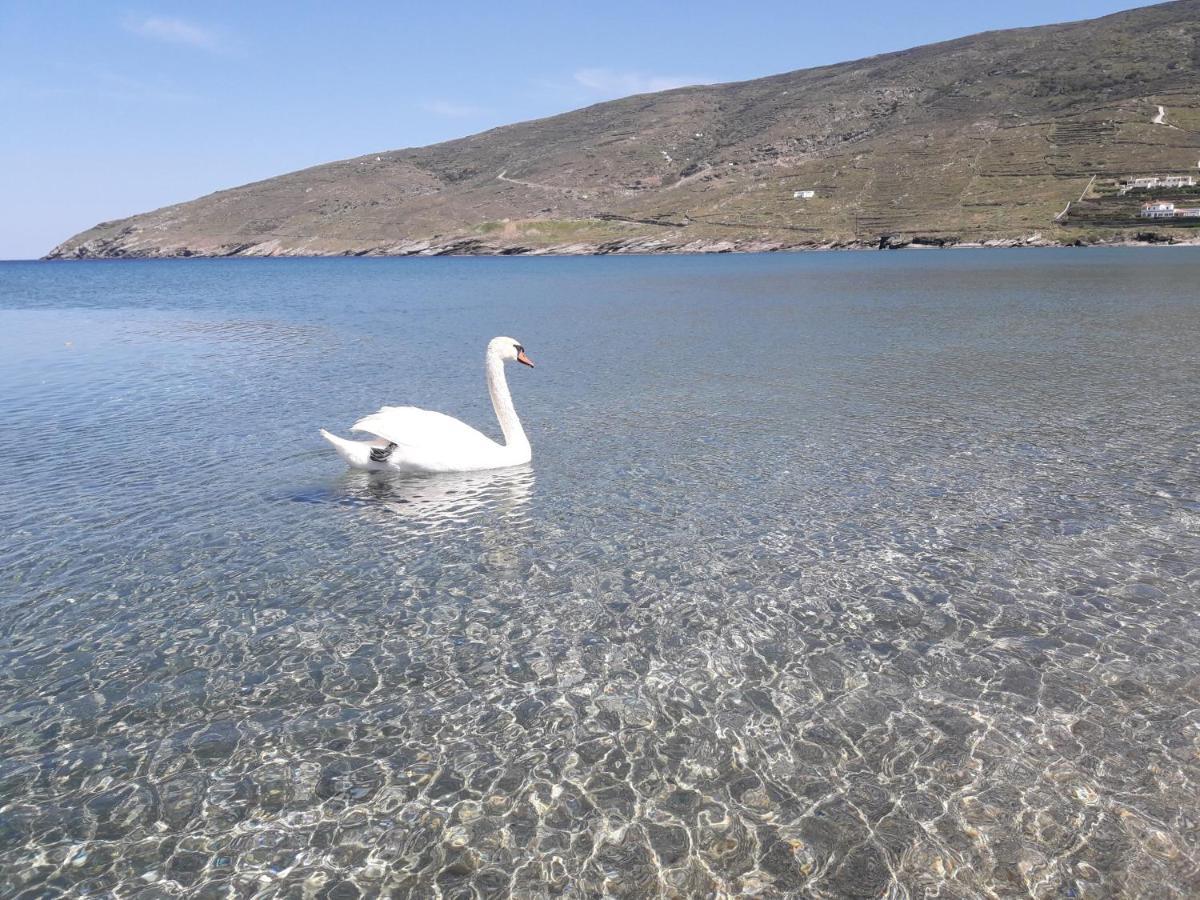 Liopi Village Andros Ormos  エクステリア 写真